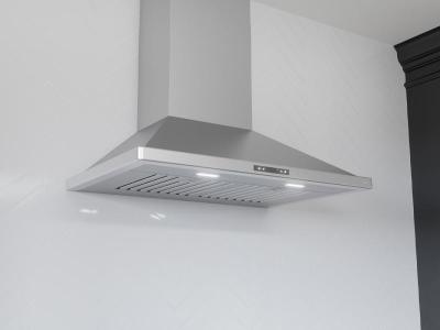 42" Zephyr Venezia Wall Mount Range Hood in Stainless Steel - ZVE-E42DS