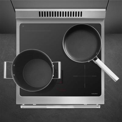 24" SMEG Professional Induction Range in Stainless steel - SPR24UIMX